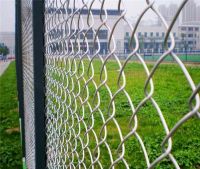 chain link fence / pvc coated chain link fence