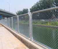 Galvanized Chain Link Fence (competitive price&best quality)