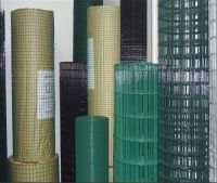 quality and economical galvanzied welded wire mesh