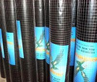 ISO 9001:2008 High Quality 2x2 Galvanized Welded Wire Mesh For Fence