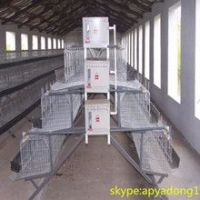 poultry farm automatic chicken layer cage