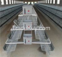 professional design Nigeria agricultural equipment a type chicken cage