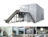 vegetable fruit IQF freezer