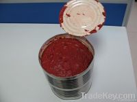 https://es.tradekey.com/product_view/3kg-Direct-Fill-Tomato-Paste-1959052.html