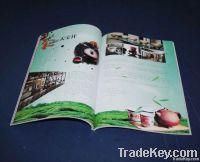 catalogue , brochure