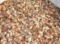 Dried shrimp shell