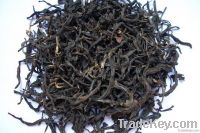 https://ar.tradekey.com/product_view/Black-Tea-Maofeng-1933829.html