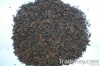 pu erh tea wholesale