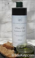 Extra Virgin Pure Olive Oil