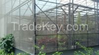 HDPE Screen Netting