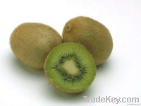kiwi fruit