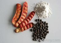 Tara Seeds & Powder