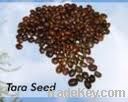 Tara Seeds