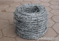 Barbed Wire