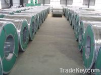 high quality galvanized steel coil  galvanized steel coils and sheets