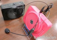 Portable Amplifier With USB And FM Radio