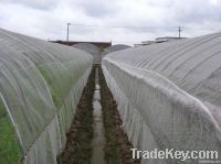 https://es.tradekey.com/product_view/100-Hdpe-Anti-Insect-Netting-1940854.html