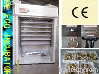 https://es.tradekey.com/product_view/1000-Eggs-Fully-Automatic-Egg-Incubator--3627854.html