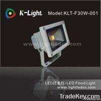 30W Outdoor LED Flood Light