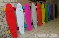 mini cruiser skateboard penny board