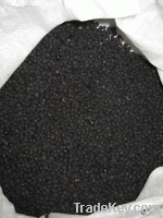 Dried blueberry berries