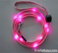 LED Pet leashes
