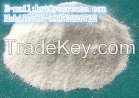 Natural Peppermint Extract Powder Menthol