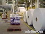 Tissue Paper ( Toilet / Facial / Handtowel ) - $750-800/mt CNF