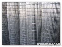 Welded Wire Mesh