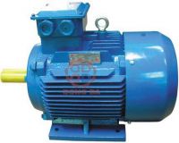 Y Series Three-phase Asynchronous Motor
