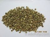 Export Coffee Beans | Arabic Coffee Bean Importer | Roasted Coffee Beans Buyer | Buy  Green Coffee Beans | Robusta  Coffee Bean Wholesaler | Coffee Bean Manufacturer | Best Coffee Bean Exporter | Low Price Coffee Beans | Best Quality Coffee Bean | Coffee