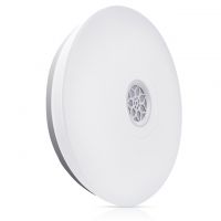 300 300 Ceiling Speakers Led Panel Light/Bluetooth Music Speaker Ceiling Lamp