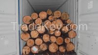 pine logs