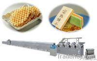 Automatic Biscuit Process Line