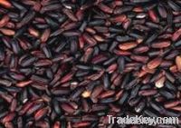 Black rice Extract