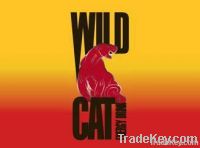 Wildcat Energy Drink