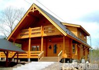 Japan Design Prefabricated Wooden/log House