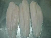  PANGASIUS / BASA FISH