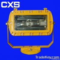 Outdoor Explosion-proof Strong Floodlight