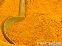 Turmeric powder