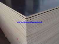Black Film Faced Plywood