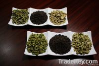 organic and conventional cardamom