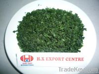 Sea Lettuce Seaweed