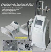 the newest cryolipolysis beauty machine of 2012 for lose weight