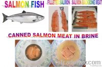 Canned Salmon Meat In Brine