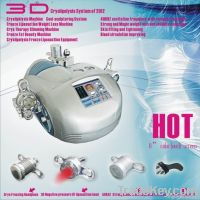 Newest 3D fat freezing liposuction weight loss equipment/cryolipolysis