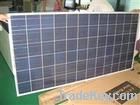 Phoebus Poly 260W solar panel