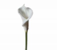 real touch calla lily for home decoration