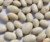 White Kidney Bean Powder Extract