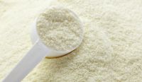 Milk Powder